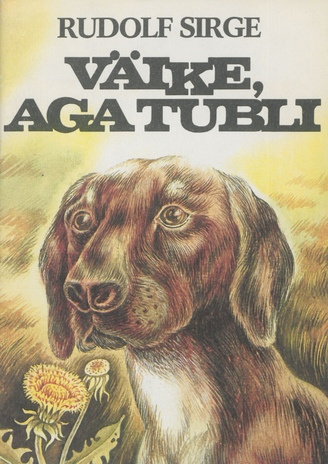 Väike aga tubli : [lastejutt nooremale koolieale] 