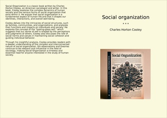 Social organization 