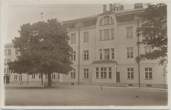 Eesti Tallinn : linna meesgümnaasium