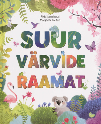 Suur värvide raamat 