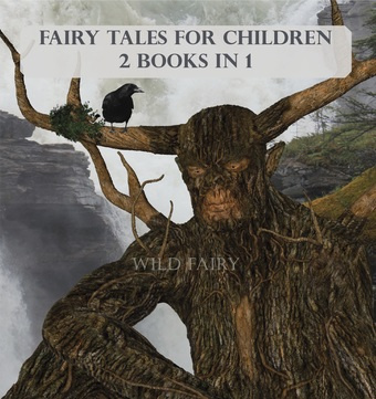 Fairy tales for children : 2 books in 1 