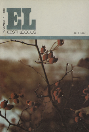 Eesti Loodus ; 11 1981-11