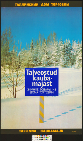 Talveostud kaubamajast 