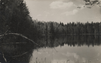 Burgatsi järv Aegviidu ümbruses