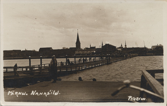 Pärnu nahksild